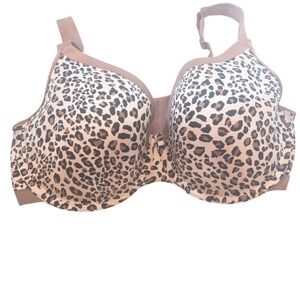 Cacique‎ Leopard Print Full Coverage Bra Comfort Support 38F